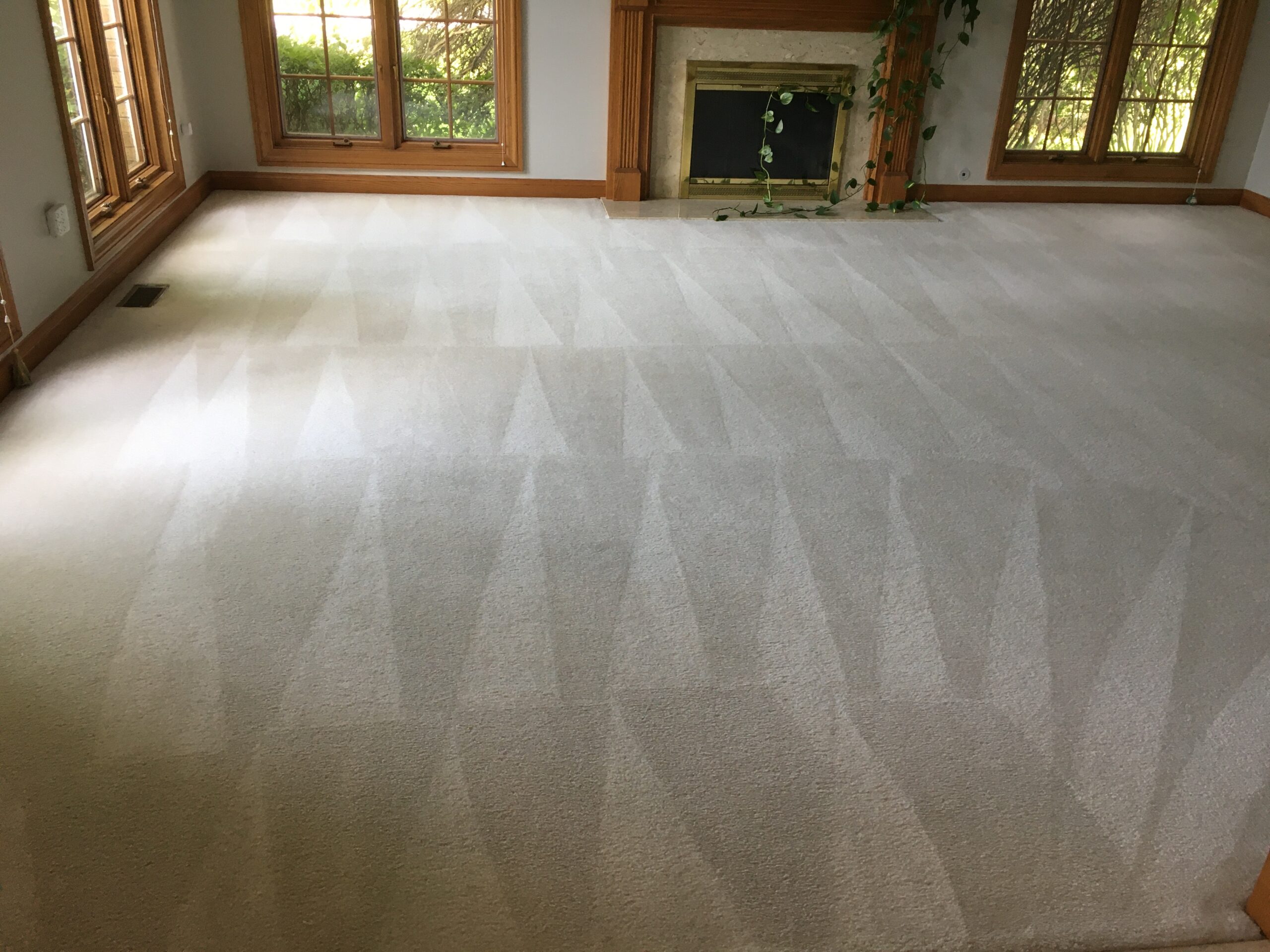 Carpet Cleaning Master Service Pro