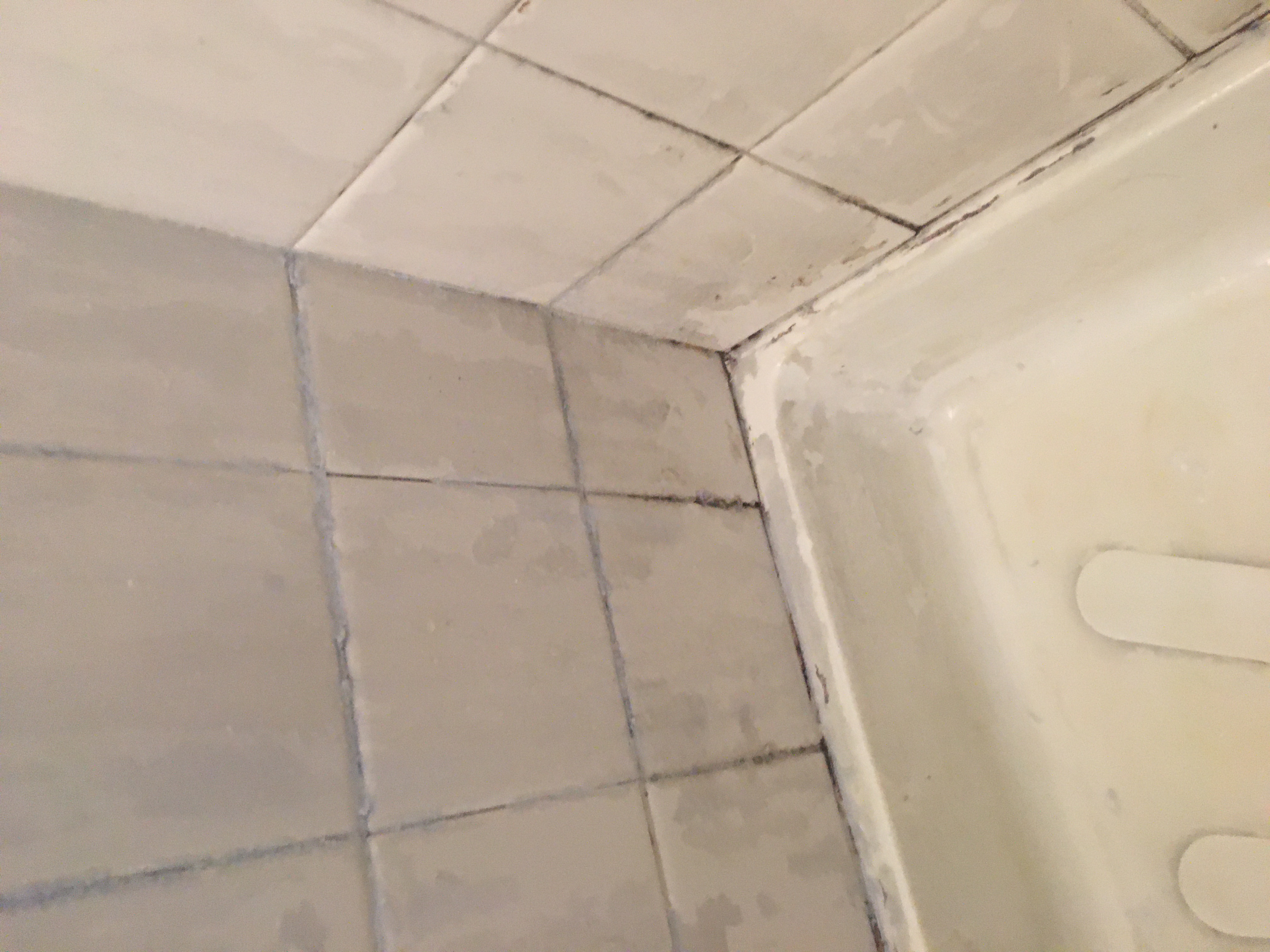 Tile & Grout Deep Steam Cleaning Master Service Pro