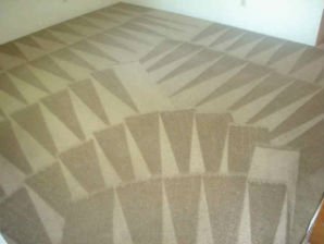MSP Deep Steam carpet Cleaning MSP Deep Steam Cleaning