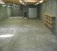 MSP Ceiling Mold Inspection