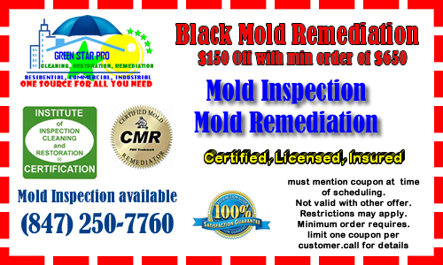 Coupon GreenStar pro