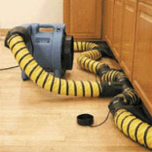 Master Service Pro Ceiling Drying