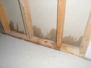 MSP Flooded Basement Cleanup