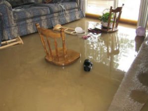 Master Service Pro Sewage Backup Cleaning