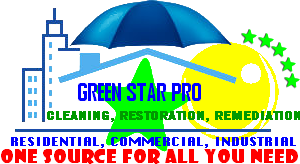 GreenSTAR Pro logo