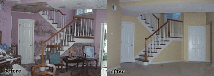 Master Service Pro Mold Remediation Master Service Pro Mold Remediation
