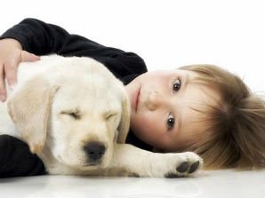 MSP Pet Odor Removal