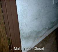 MSP Mold Inspection inside closet