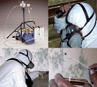 MSP Mold Inspection and remediation