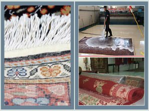 MSP Rug Cleaning
