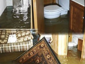 Master Service Pro Sewage Backup Cleaning