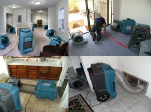 MSP Water Damage restoration MSP Water Damage Restoration