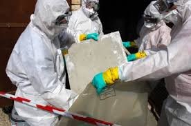 Master Service Mold Removal