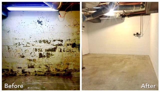 Master Service Mold Removal Libertyville