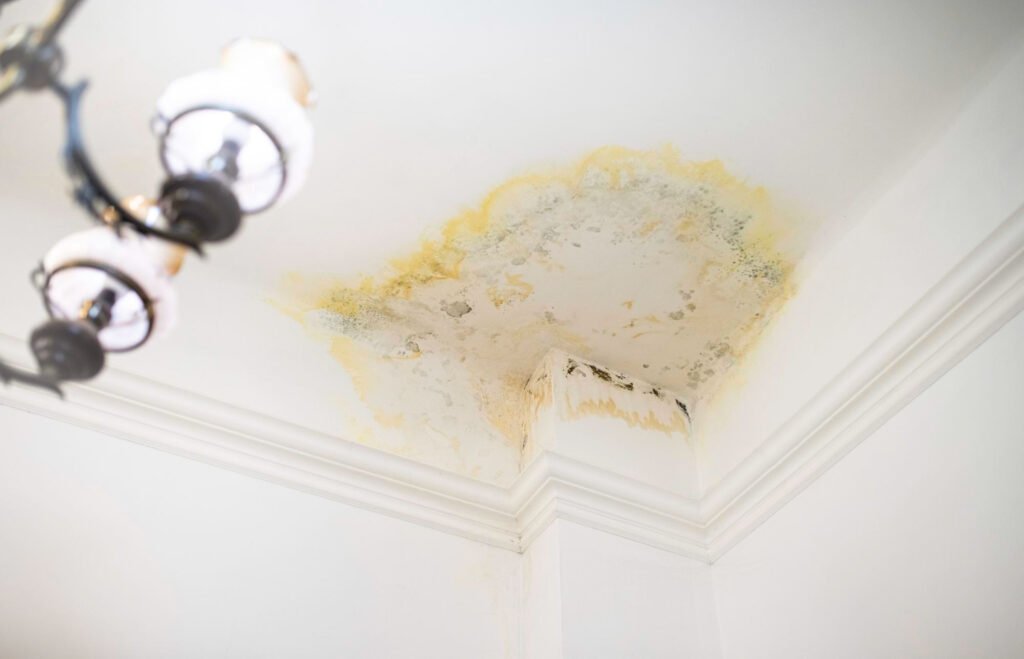 Hidden Water Damage